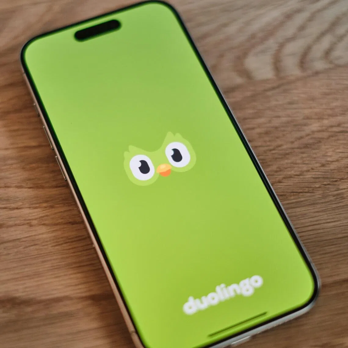 Duolingo makes language learning a real pleasure, granting such a welcome reprieve from the frenzy of everyday life, says the writer.