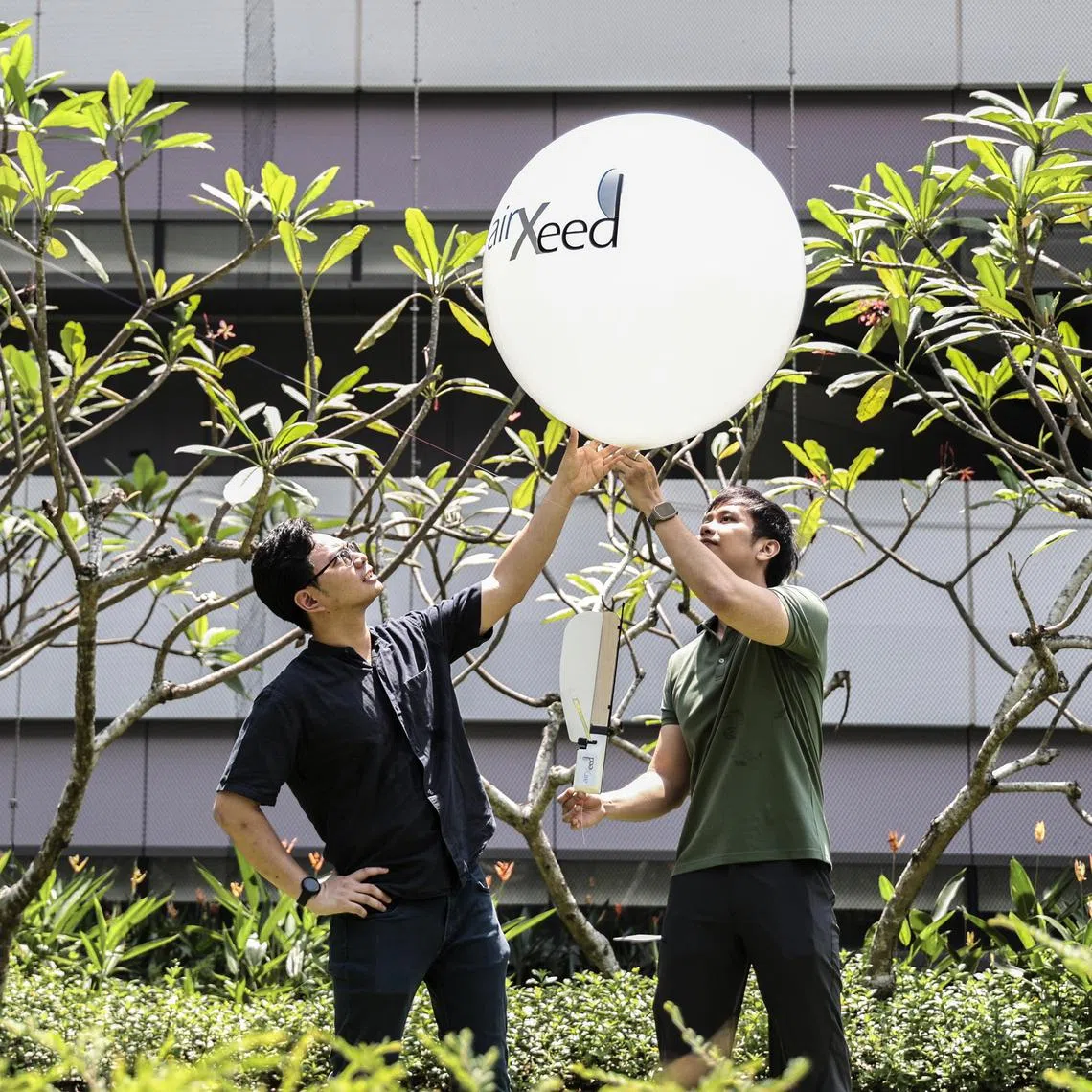 (From left) Postdoctoral research fellows Mr Danial Sufiyan Shaiful and Mr Shane Kyi Hla Win were inspired by the maple seed to create a solution that can reduce electronic waste and make weather monitoring more sustainable. They won the James Dyson Award 2024 for sustainability.