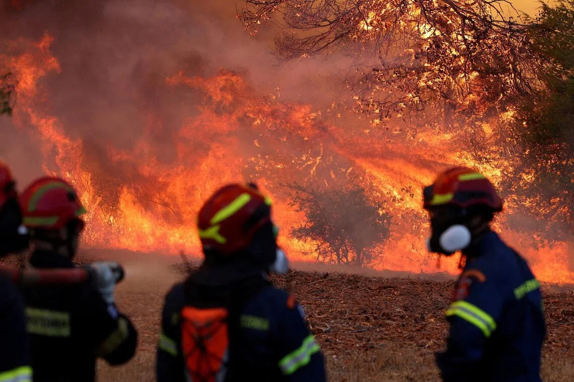 More than 12,000 hectares of forest and agricultural land have burned over the past week.