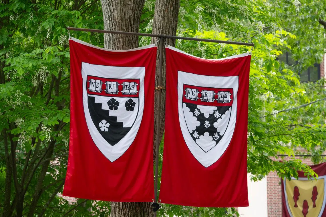 Harvard students are left in limbo amid the escalating showdown between the US president and their university.