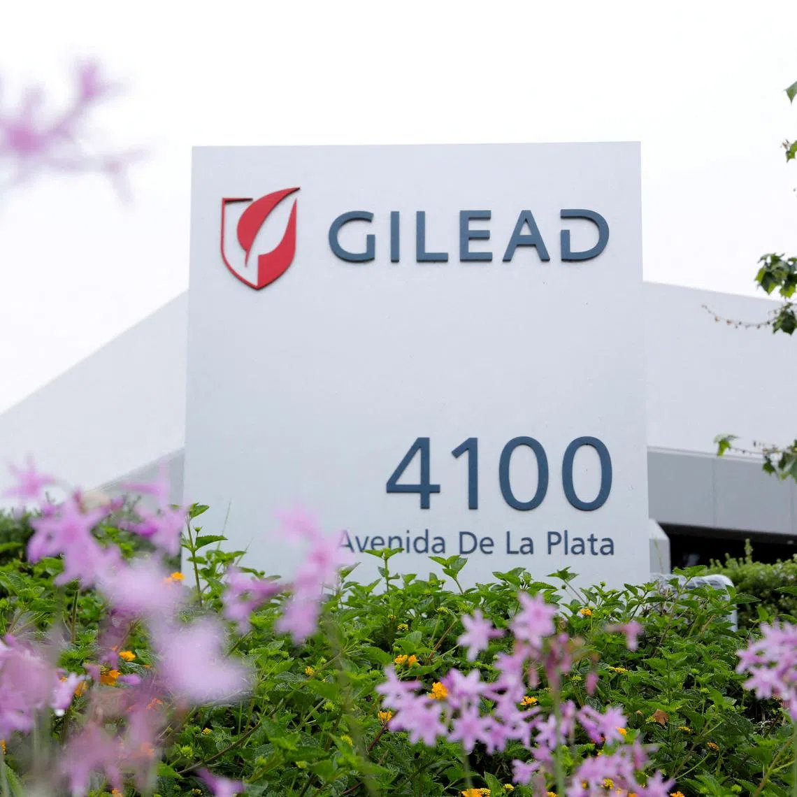 The agreement with Gilead would make it possible to reach two million people with the new drug.