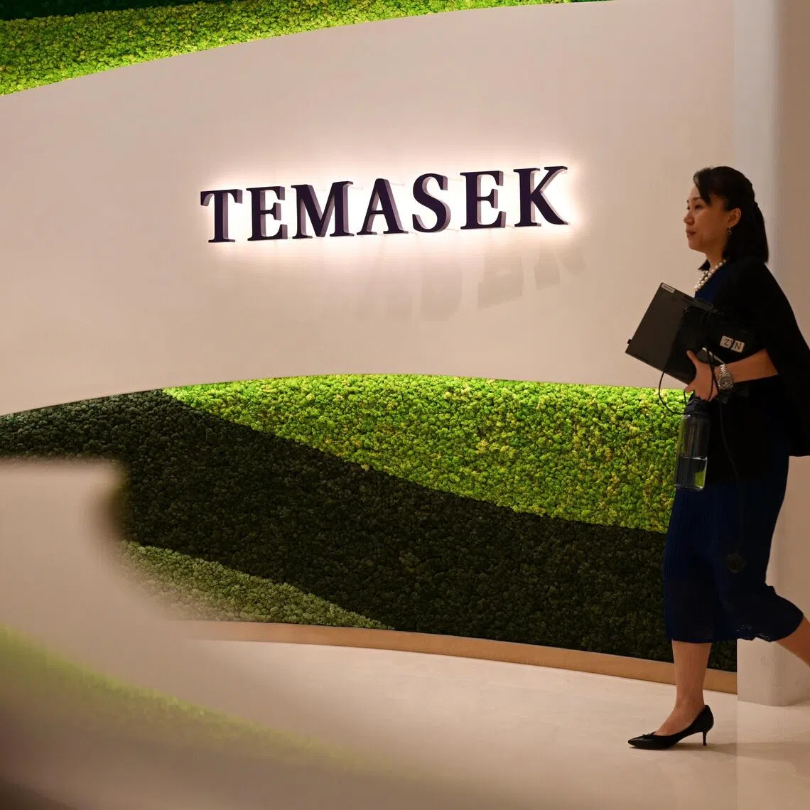 Temasek says it sees significant long-term opportunities in the Middle East for itself and its portfolio companies.