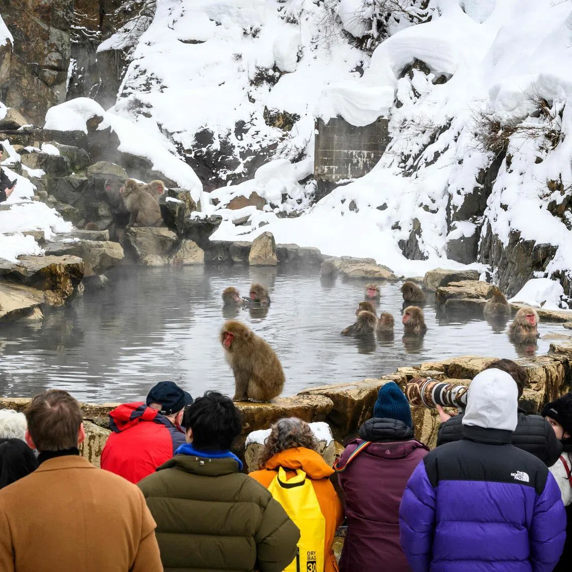 Recent years have seen the number of tourists rise sharply, sometimes totalling 3,000 to 4,000 a day, a park official said.