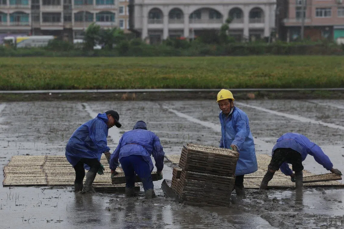 China evacuates over one million as Typhoon Bavi nears