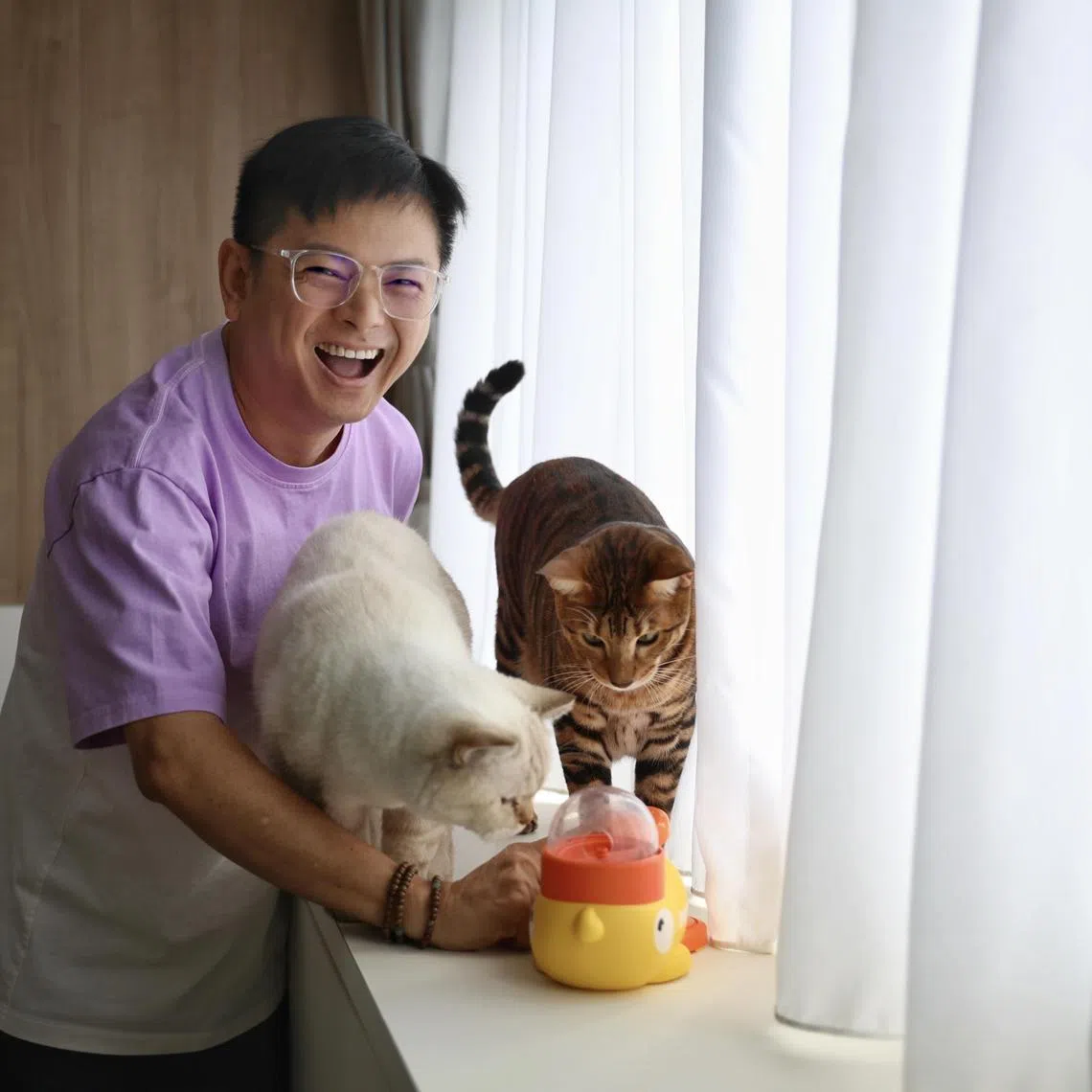 Actor-DJ Dennis Chew with his two cats, Furby (left), a four-year-old British shorthair  and Woody, a one-year-old Toyger pictured at his home on June 14, 2025. 