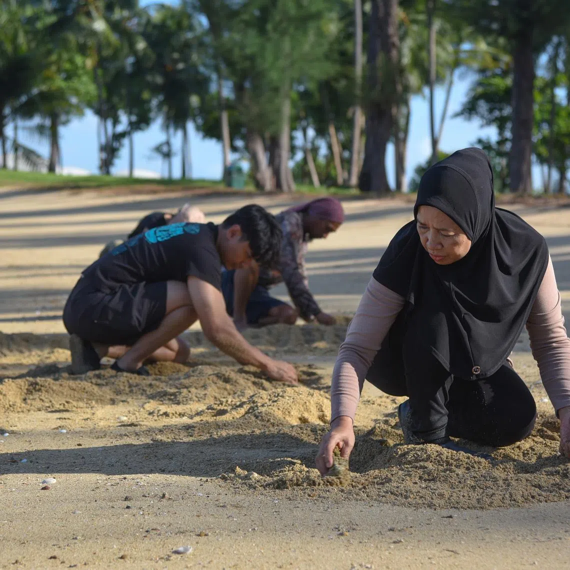 Foraging is the ancient practice of gathering useful flora and fauna for food, medicine or other art.
