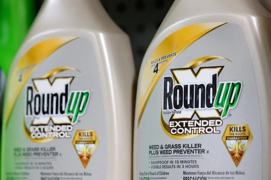 Bayer, which maintains that Roundup is safe, is considering its options in the case and will continue to seek a Supreme Court review.