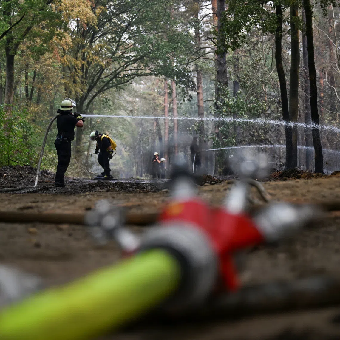 Firefighters work in a forest as a wildfire approaches a residential area where several hundred residents have been ordered to evacuate their houses in Huertgenwald-Gey, west of Cologne, Germany, August 15, 2026.    REUTERS/Jana Rodenbusch