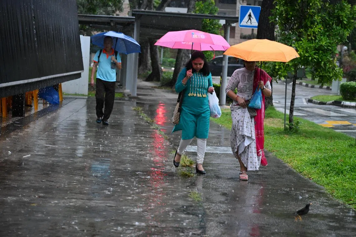 Pedestrians caught in the intermittent rain in Potong Pasir on Jan 10, 2025.