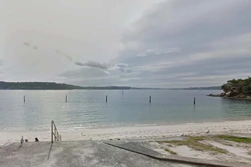 The predator bit the boy, believed to be about 13 years old, in the late afternoon off Shark Beach.