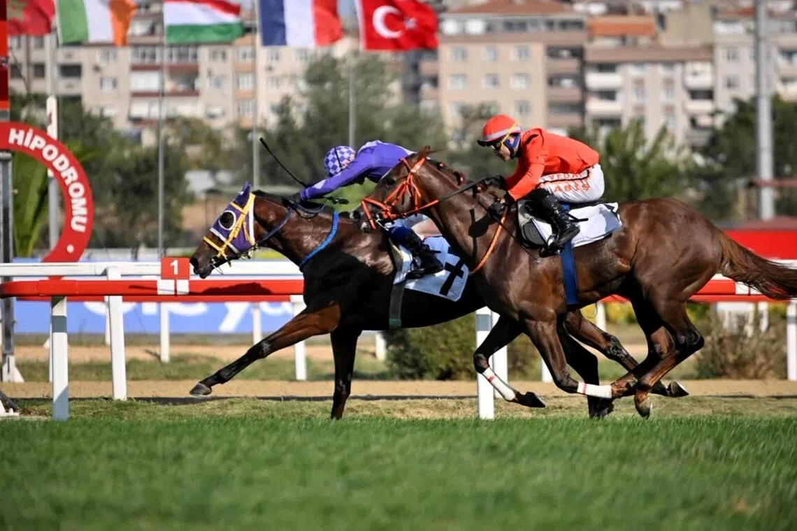 Whizbang (Sadettin Boyraz) holding Charabanc (Vedat Abis) off by a neck to win the Group 3 Topkapi Trophy (1,600m) at Veliefendi racecourse in Istanbul on Sept 6.

PHOTO: JOCKEY CLUB OF TURKEY