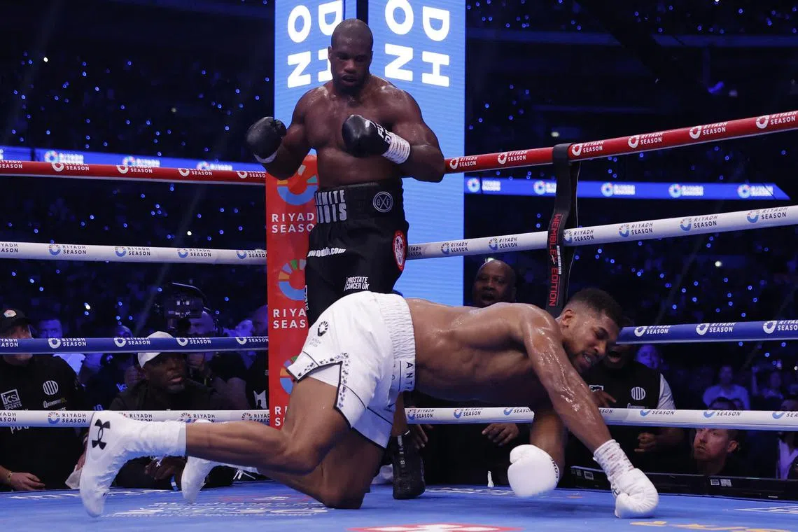Anthony Joshua getting knocked down by Daniel Dubois during their International Boxing Federation heavyweight world title fight at a packed Wembley Stadium on Sept 21. Dubois won via a fifth-round knockout.