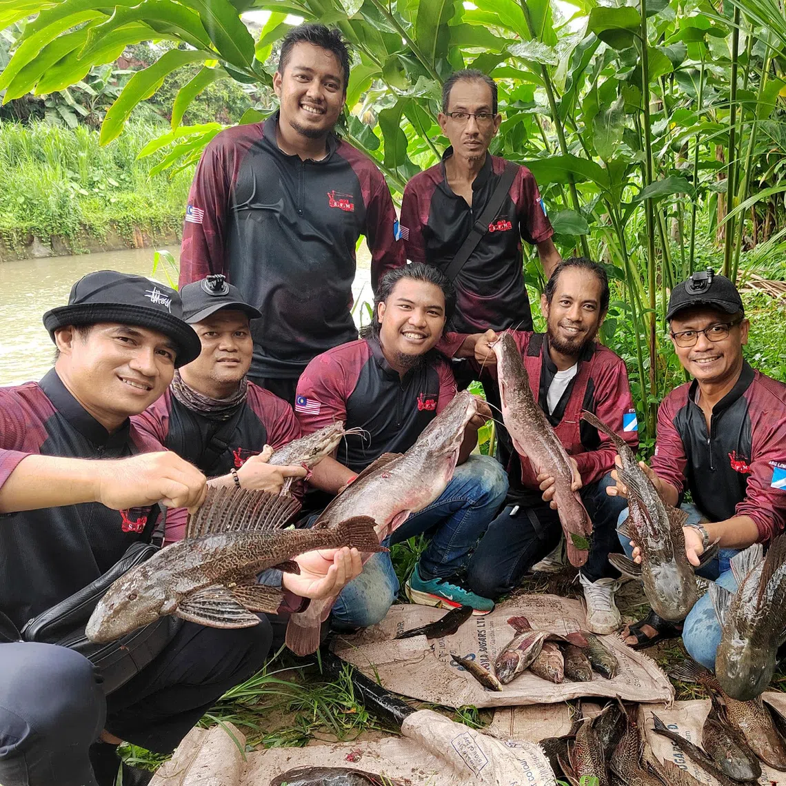Members of Slingshot Fishing Malaysia with the invasive pleco fish they caught at a river in Sentul, Kuala Lumpur.