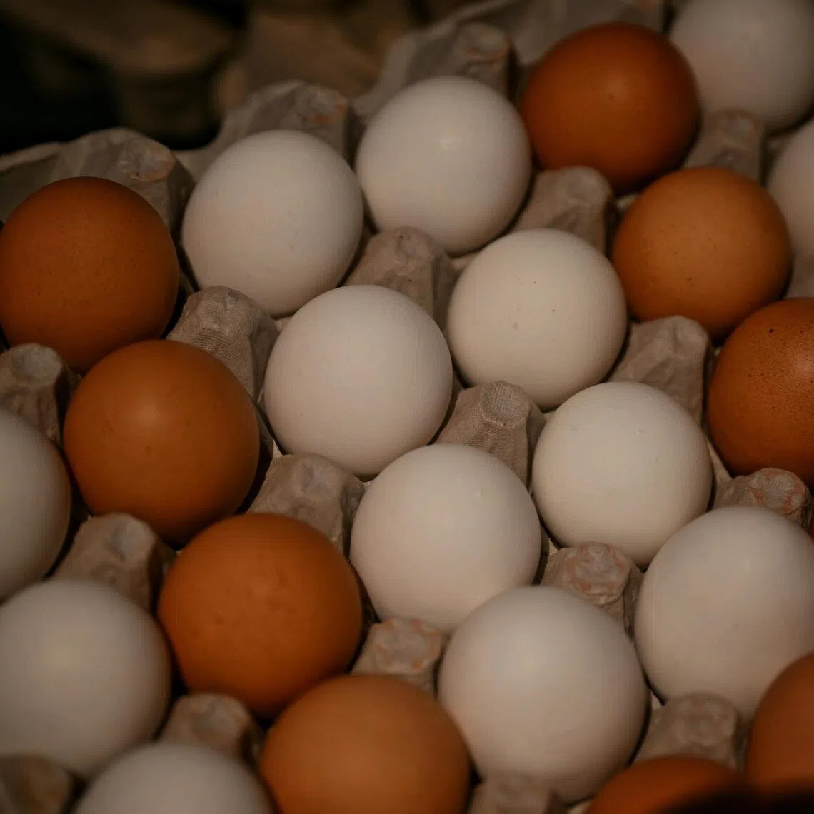 In all, 1,589,577 dozen eggs were covered by the recall, and included both white shell eggs and brown cage free shell eggs.