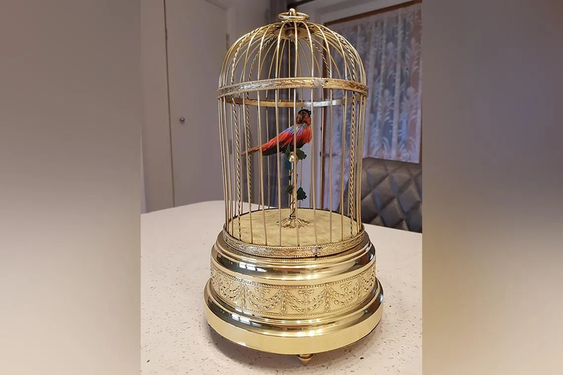 It took over 50 years before a woman was able to hear the singing bird of her childhood.