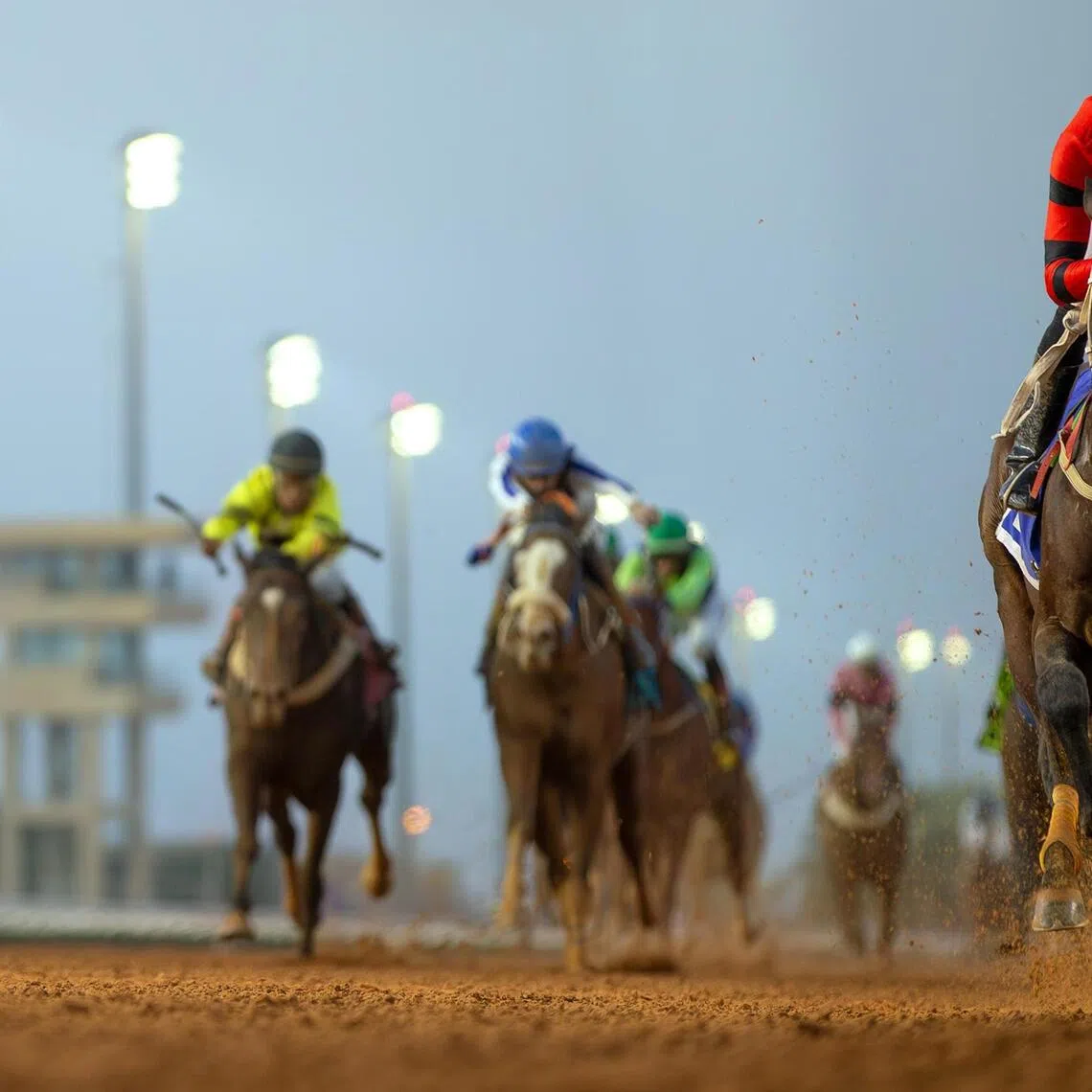 Alnishaar - Alnishaar (Eiad Alturisi) at his maiden win in Riyadh on Nov 27, 2025. The Saudi-bred five-year-old by First Defence is aiming to bounce back from his first-up eighth with a win in the last race of the Taif 11-race programme on Aug 28.

PHOTO: JCSA