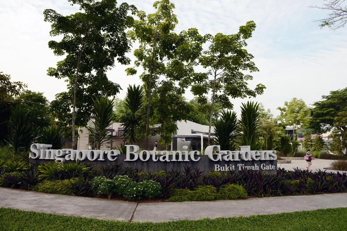 The police said they are aware of calls on social media to gather at the Singapore Botanical Gardens at the upcoming weekend for a march called “Walk-Out Singapore”, to demonstrate views related to the Israel-Hamas conflict.