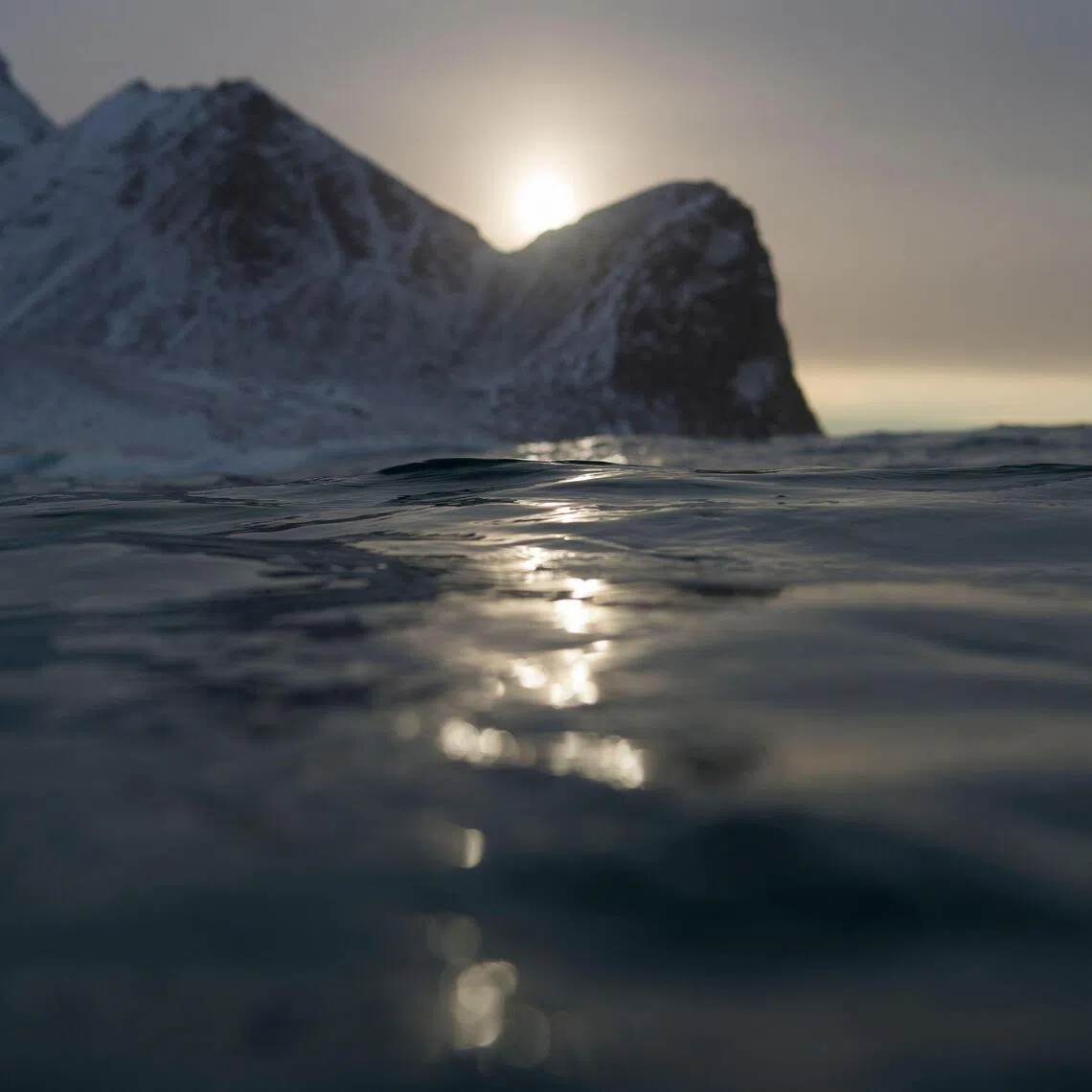 The study probed the impact of deep-sea mining - an emerging industry - on biodiversity. Deep-sea habitats play a crucial role in the climate system.