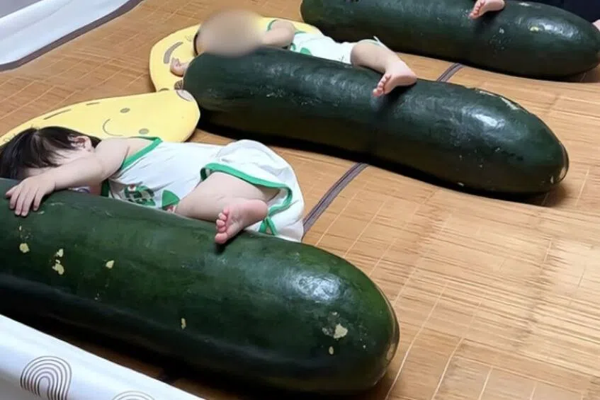 Winter melon cooling hack goes viral in China but experts warn to be careful