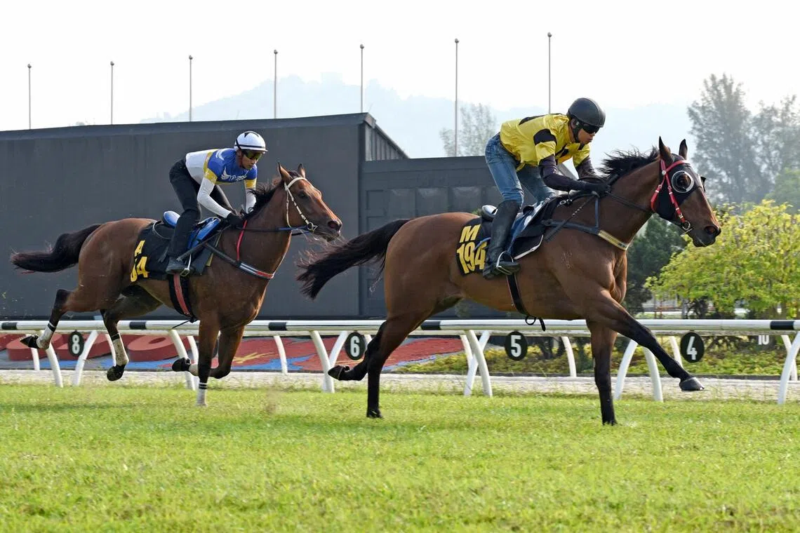 bmtrials03 - Mega Khan
PHOTO: SELANGOR TURF CLUB
