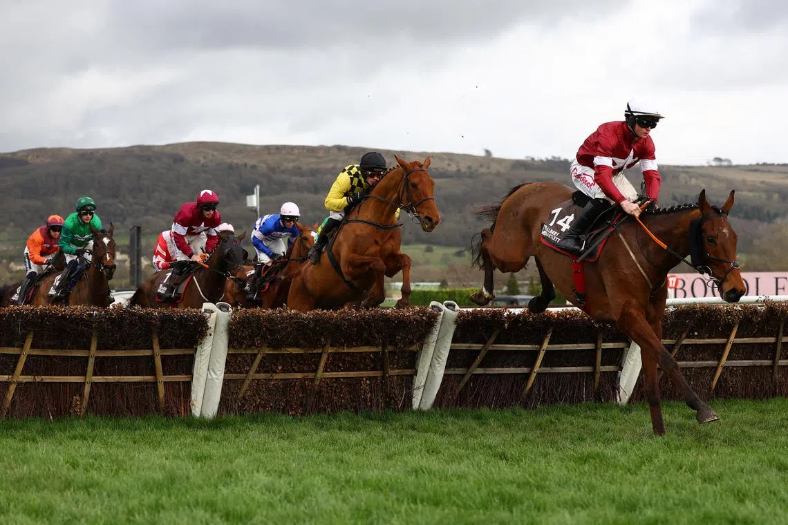 Horse Racing - Cheltenham Festival - Cheltenham Racecourse, Cheltenham, Britain - March 15, 2024 Sam Ewing riding Stellar Story in action before winning the 14:50 Albert Bartlett Novices’ Hurdle Action Images via Reuters/Paul Childs/File Photo