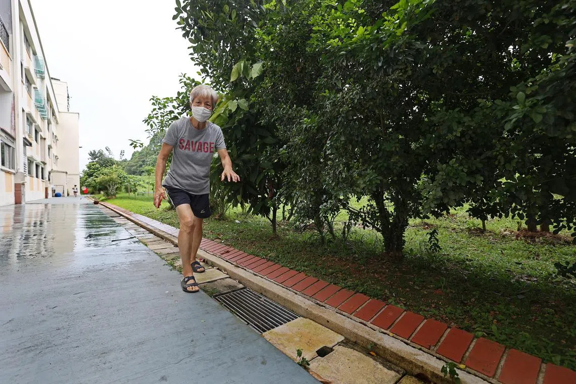 Madam Chan Chui Yoke, then 69, fell into the drain, which is near the block where she lives, on Feb 8, 2021.