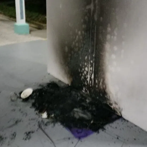 A resident in the area who did not want to be named said that the cats there fortunately seem to be unharmed.