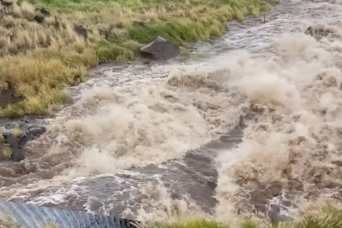 A turbulent, muddy river flowing through a grassy landscape.