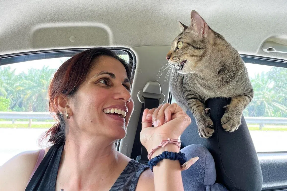 Ex-Olympian sues Selangor government, city council over dog ban in condos