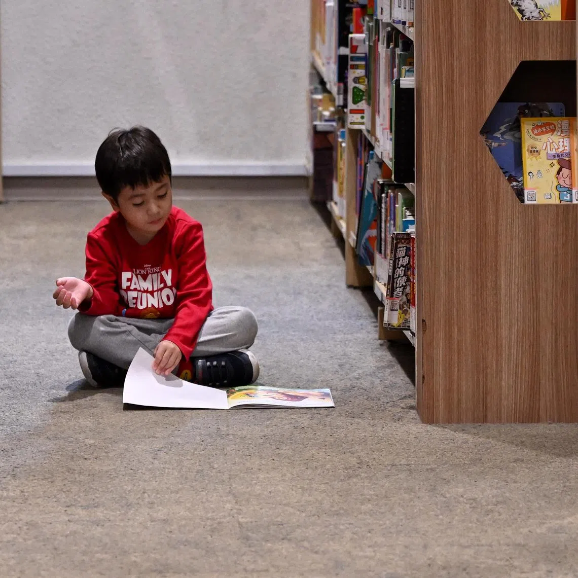 If there are interesting books that children want to read in the home, reading becomes a viable entertainment option.