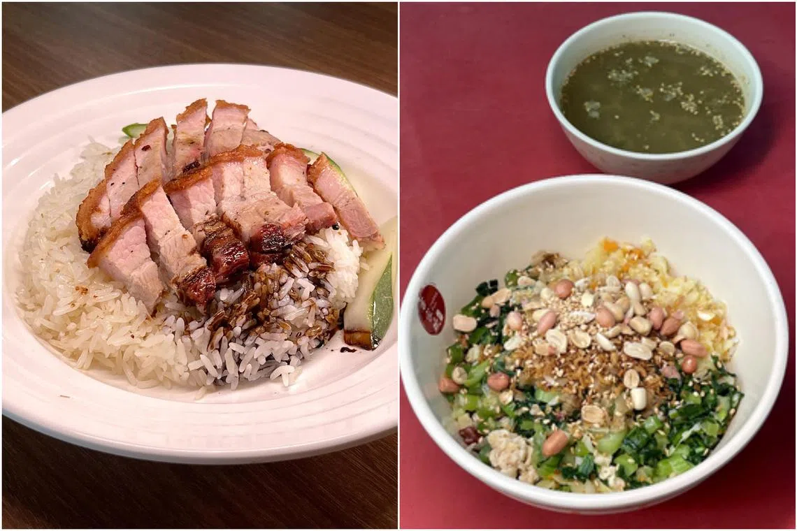 Roasted Pork Rice from Cantonese Roasted (left) and Hakka Hamcha with mixed rice from Hakka Fun Hamcha & Yong Tou Fu.