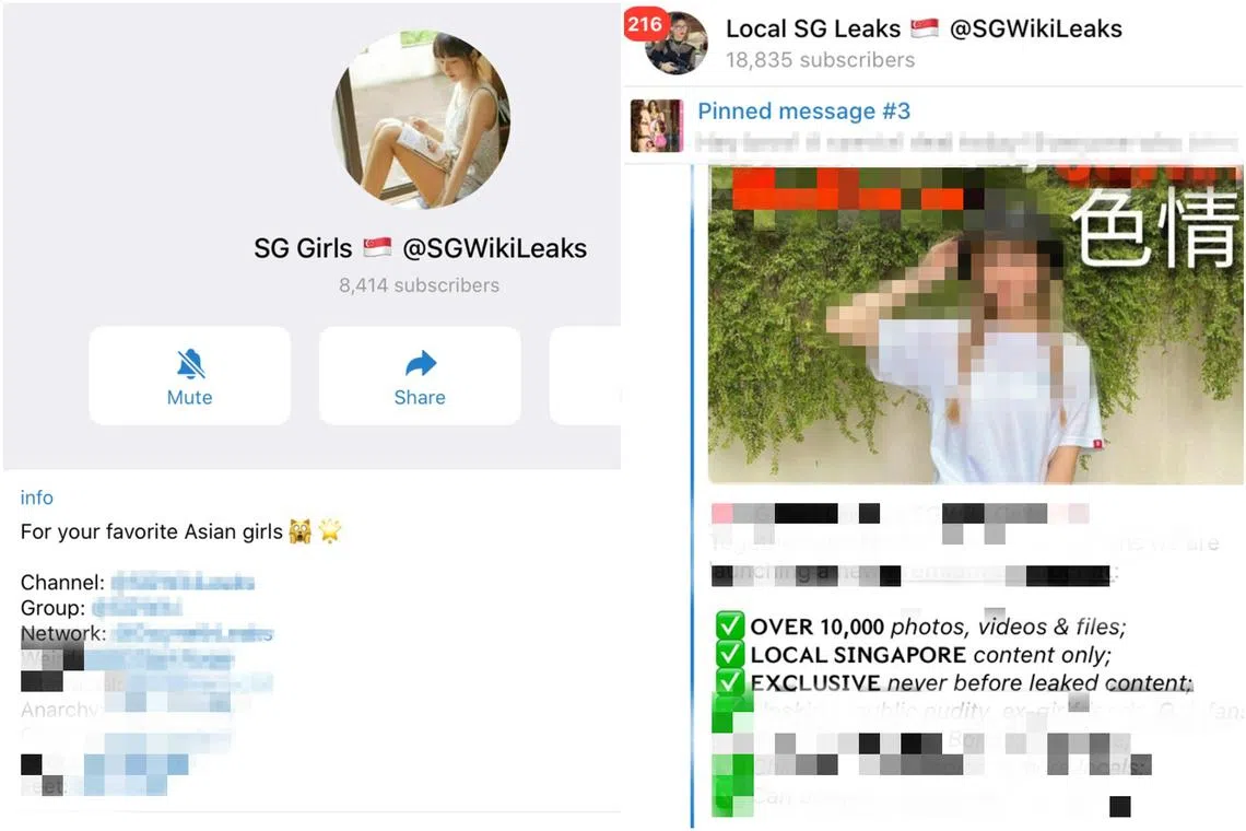 The group, called SGWikiLeaks, is believed to be circulating obscene photos and videos of women.