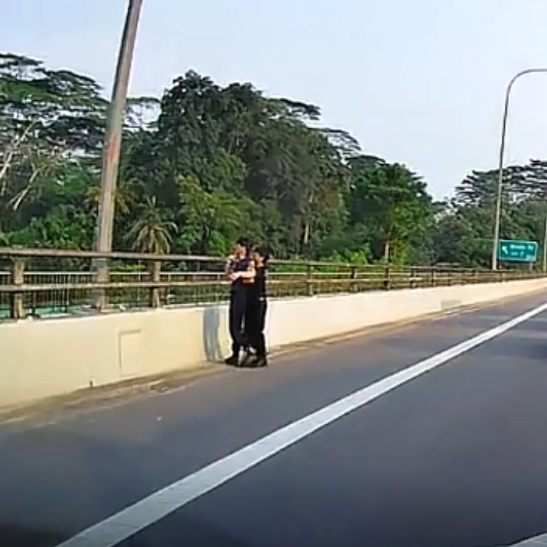 In a video of the incident that shows two men struggling by the side of the expressway, one of them appears to throw an object off the viaduct.