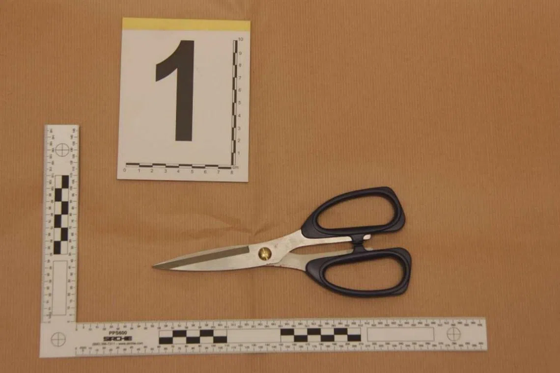 The man punched one of the victims several times and hit another man on the right shoulder with a pair of scissors. 