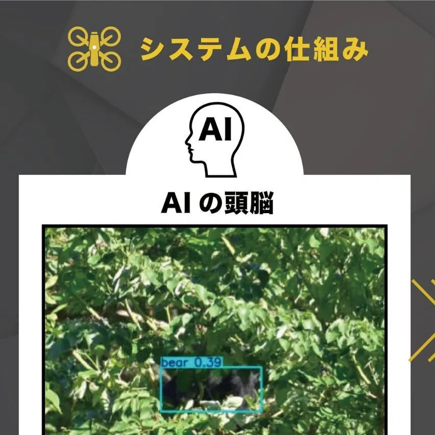 The new system will be able to detect bears hidden from view in mountainous or urban areas, and share their locations via smartphones.