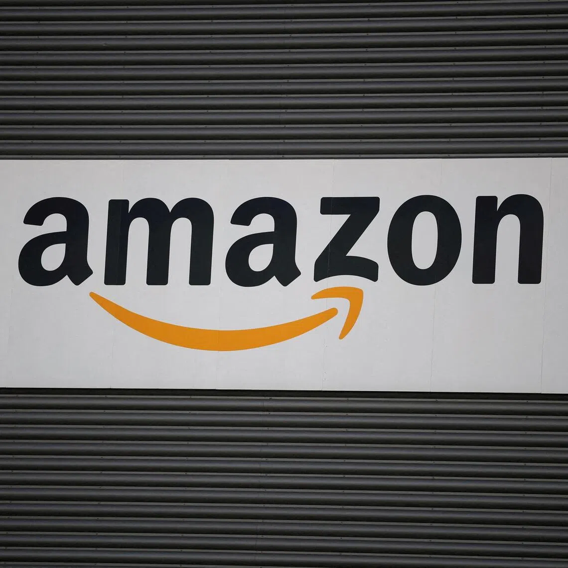 In the Richardson neighbourhoods near the Amazon distribution centre, any joy about the innovation has been muted by the sound of dozens of drones.
