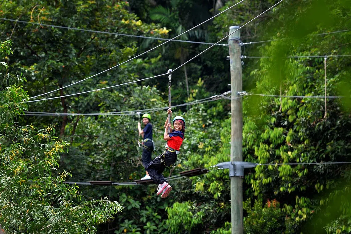 Together, the three new campsites and the remaining OALC at Dairy Farm will be able to cater to 100,000 students a year. 