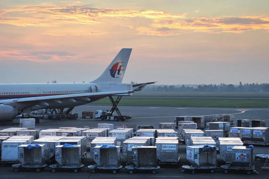 The airline carried 14.5 million passengers in 2023, up 46 per cent from a year earlier. 