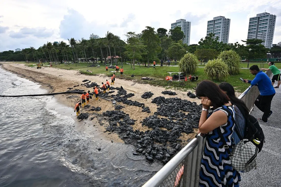 Workers forming a human chain to transfer bags of oil-stained sand for disposal near Siglap Canal at East Coast Park, on June 19, 2024.