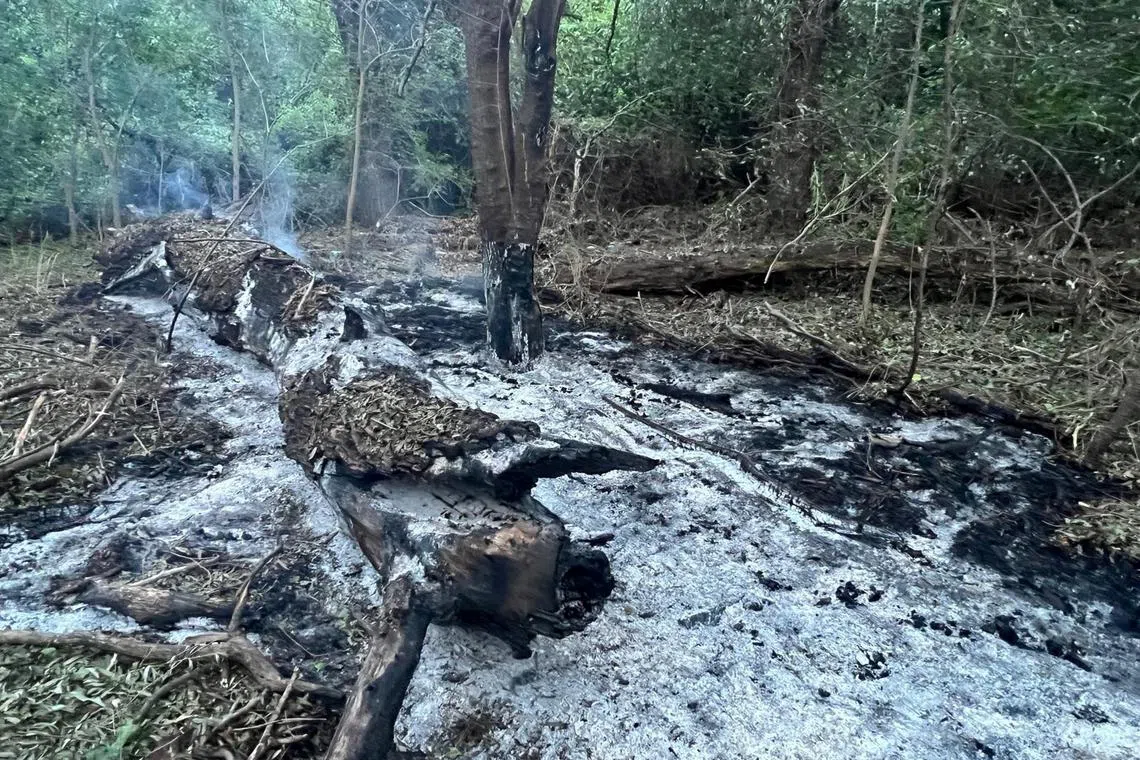 A view of an area where fragments from a Russian Geran 1/2 drone found, at a location given as near the village of Plauru, Romania, in this handout picture released to Reuters on July 25, 2024. G4Media.ro/Handout via REUTERS