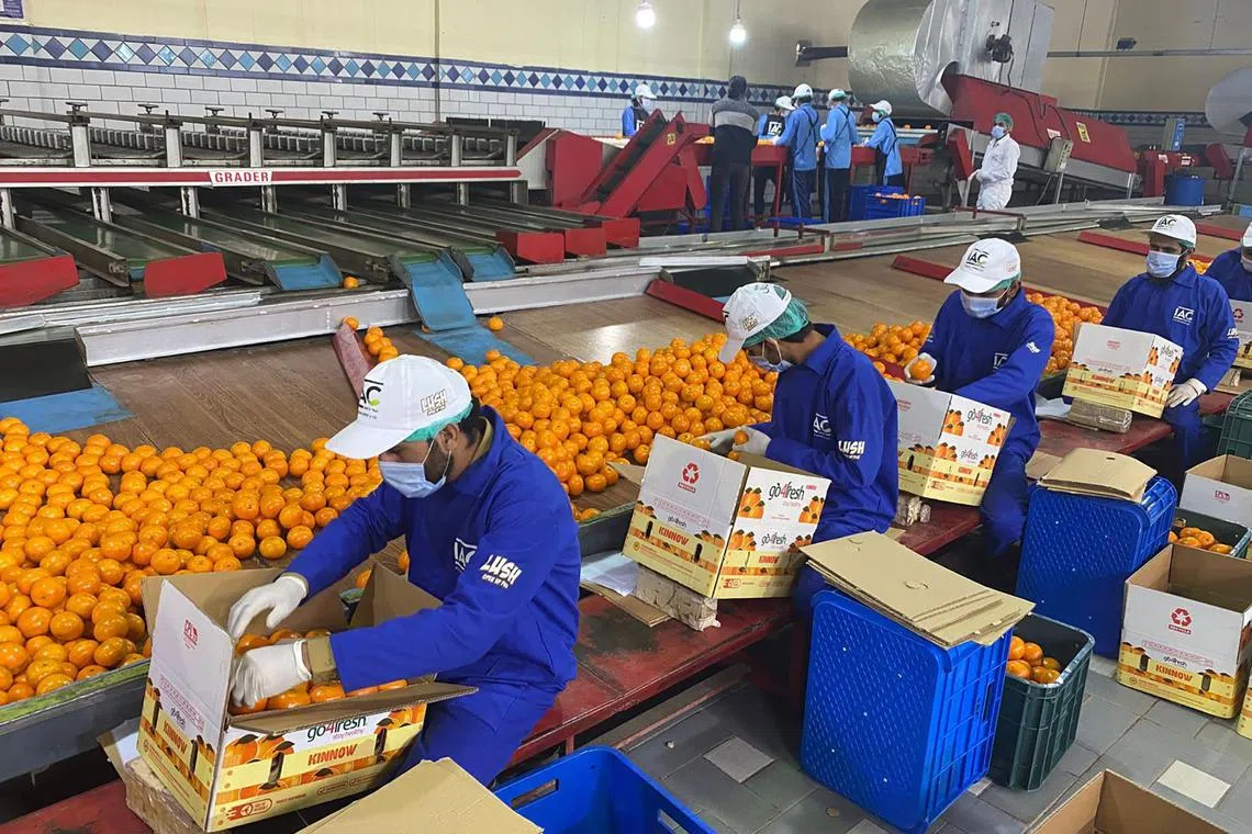 rhpakistan - Food processing plant - Pictures by  Exporter.jpeg

Credit: Waheed Ahmed