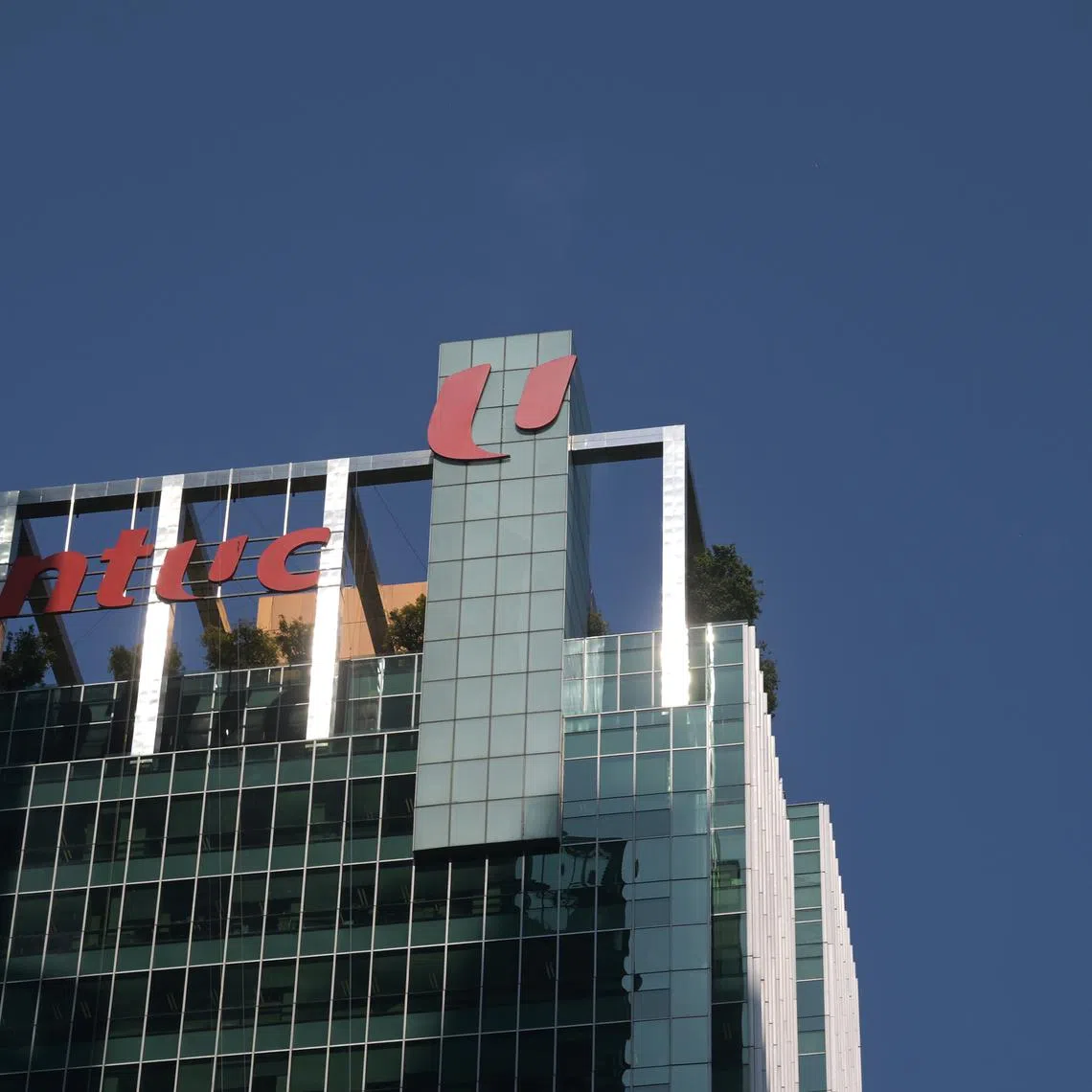 NTUC’s designation is at the federation level and will not include affiliated unions and associations, nor its social enterprises.