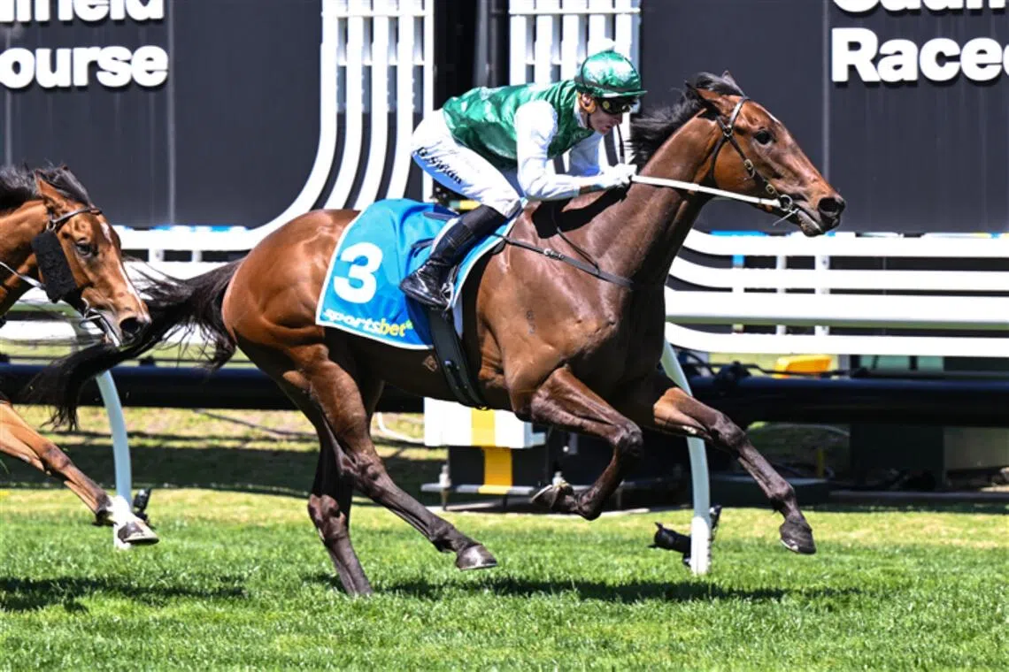 Autumn Myster - Autumn Mystery (Blake Shinn) landing the Group 3 Sportsbet Classic (2,000m) at Caulfield on Oct 18.

