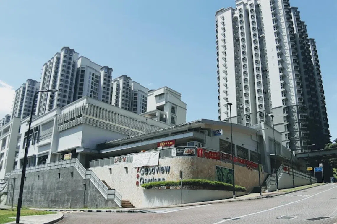 A PSP member also alleged that PAP volunteers had started following his party’s Chua Chu Kang team during block visits at Goodview Gardens in Bukit Gombak.
