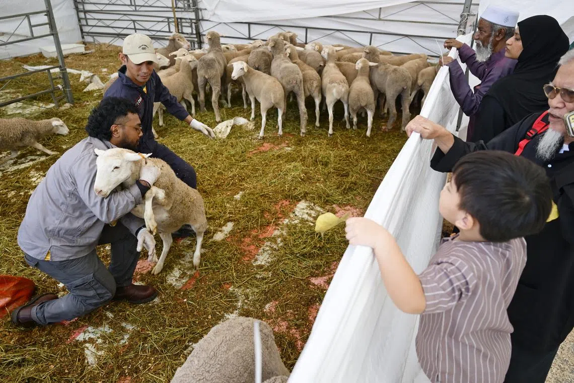 PERTAPIS’ live korban benefits 500 lower-income families