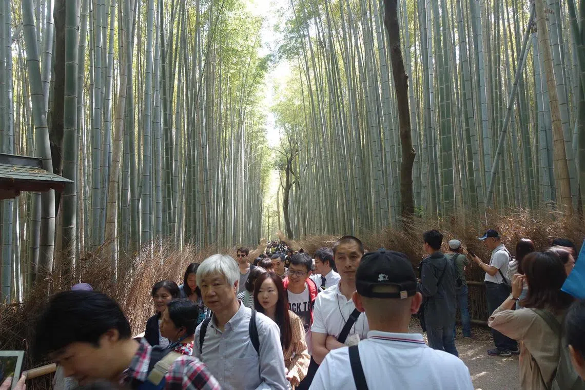 Arashiyama Bamboo Grove in Kyoto is one of many popular yet overcrowded tourist spots around the world.