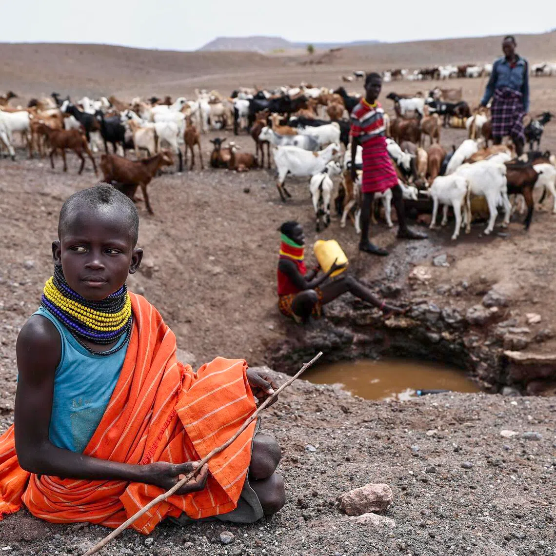 Drought in Kenya is creating food insecurity and water scarcity, highlighting an urgent need for more aid.
