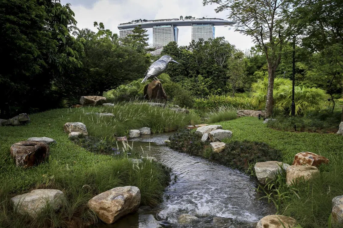 Among the additions is a new attraction that will allow visitors to experience the Kingfisher Wetlands in a "different way". 