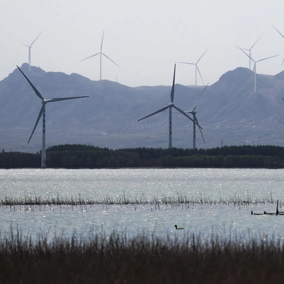 China's Jinko Solar inked two deals at the end of April with partners in Nigeria – in a region where diesel prices have soared 40 per cent since the start of the Iran war.
