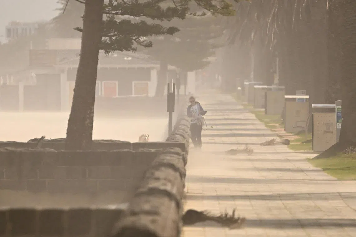 A woman and her dog are blasted by sand from a Port Phillip Bay beach in Melbourne on Aug 28 as strong winds buffet the city.